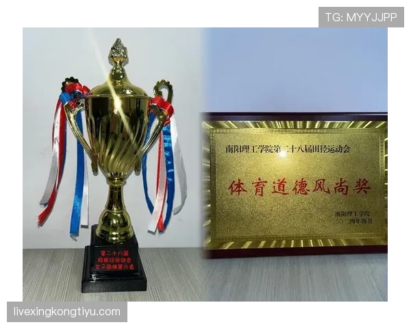 体育道德在纪律判罚中的作用与裁量界限