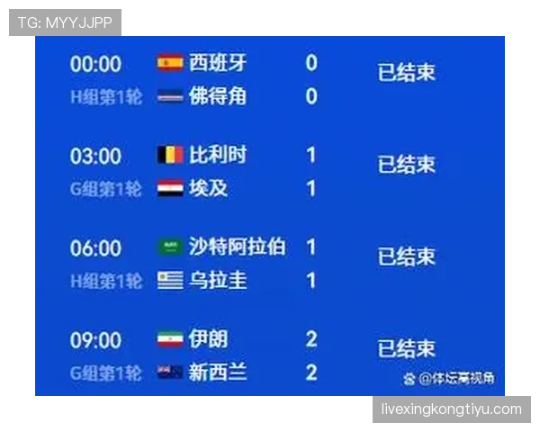 伊朗世界杯小组赛总结：平局过多导致出局